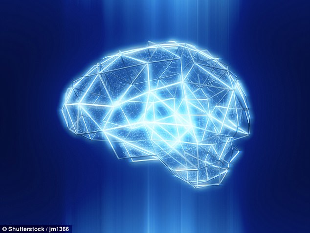 Σε… 11 διαστάσεις λειτουργεί ο εγκέφαλος