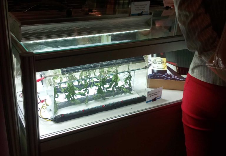 Στη νανοτεχνολογία για master στρέφονται οι ‘Ελληνες φοιτητές