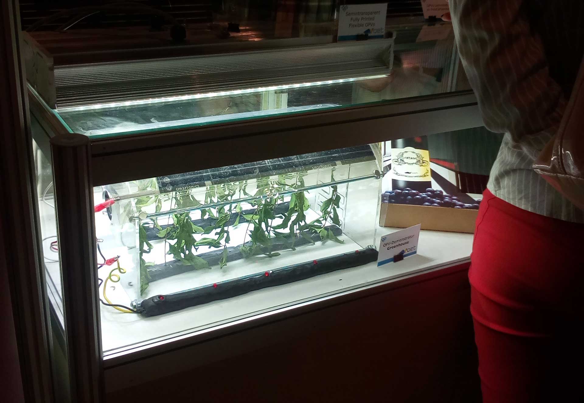 Στη νανοτεχνολογία για master στρέφονται οι ‘Ελληνες φοιτητές