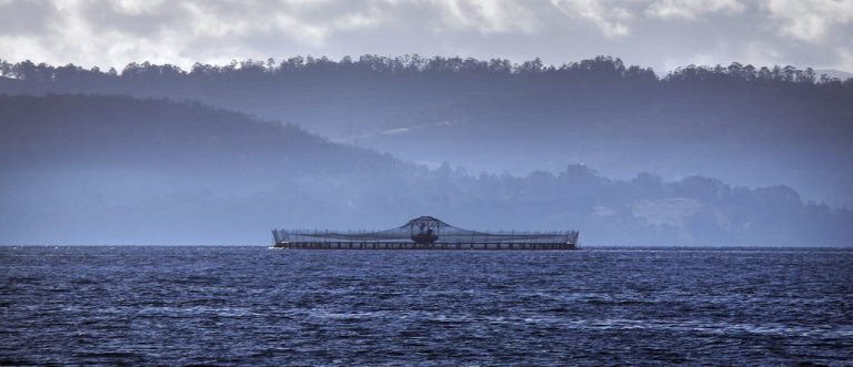 Η υδατοκαλλιέργεια θα μπορούσε να σώσει τον πλανήτη