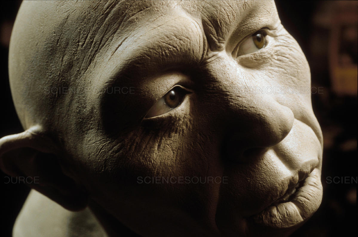 Ο Homo erectus ήταν ο πρώτος που μίλησε