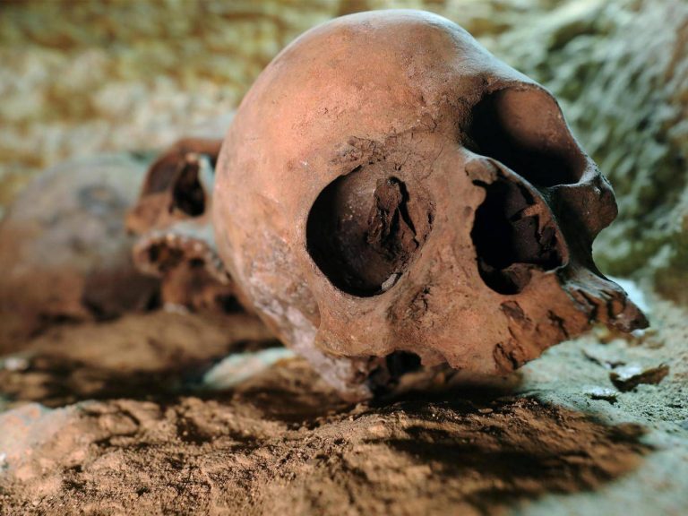 Τεστ DNA έφεραν στο φως αρχαία ανδροκρατούμενη κοινότητα