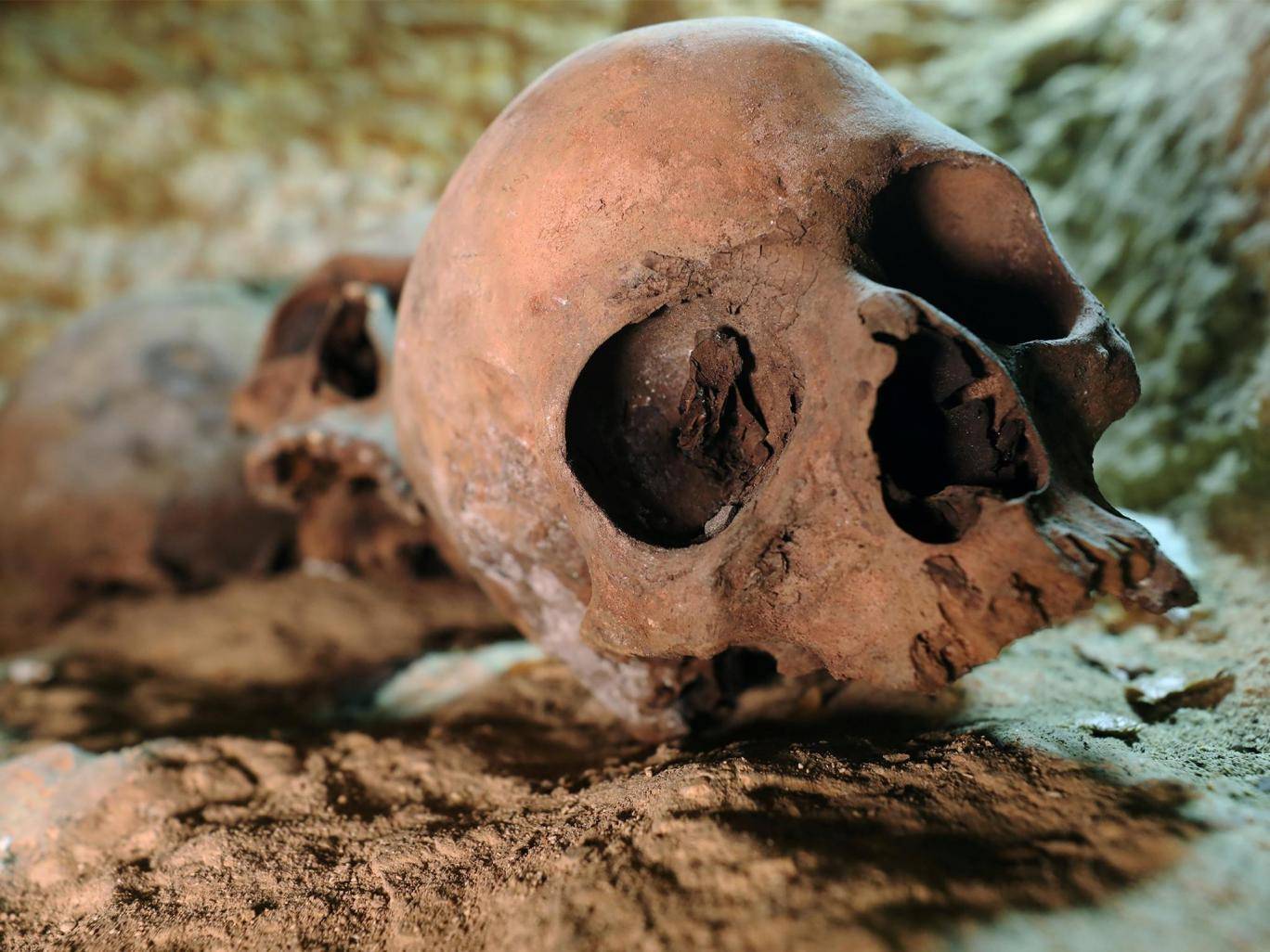 Τεστ DNA έφεραν στο φως αρχαία ανδροκρατούμενη κοινότητα