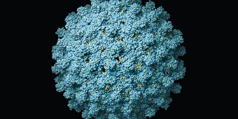 Σχεδόν 300 εκατομμύρια άνθρωποι στον κόσμο έχουν ηπατίτιδα Β