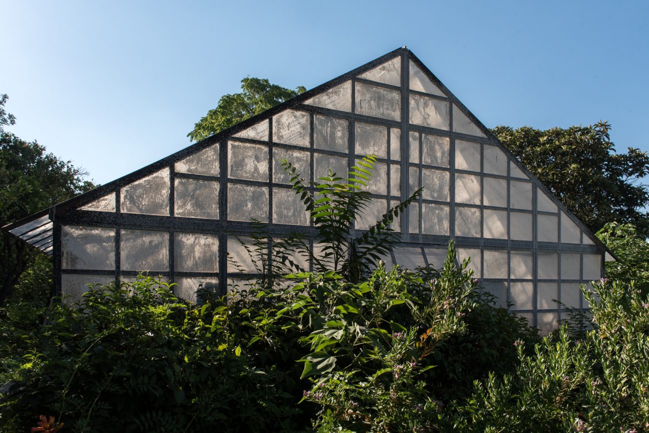 «ΓΕΩμετρίες»: Το άγνωστο οικοσύστημα του Γεωπονικού Πανεπιστημίου