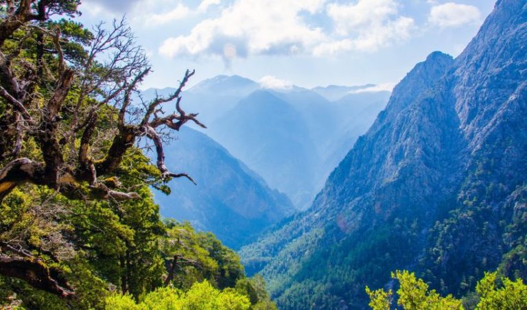 CrInI: Mια πρωτοβουλία προώθησης της καινοτομίας στην Κρήτη