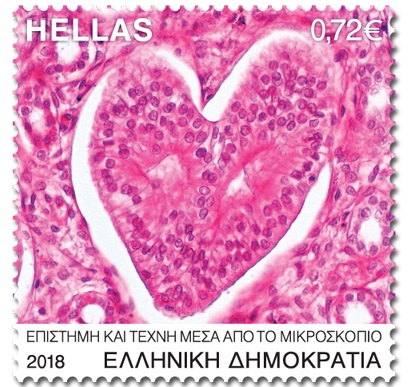 ΕΛΤΑ: Τα πρώτα γραμματόσημα με σχηματισμούς των κυττάρων