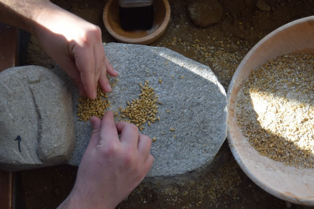 Η διαδρομή της διατροφής στην αρχαία Ευρώπη