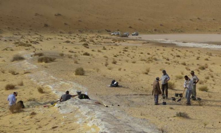 Στη Σ.Αραβία απολίθωμα του Homo sapiens ηλικίας 90.000 ετών