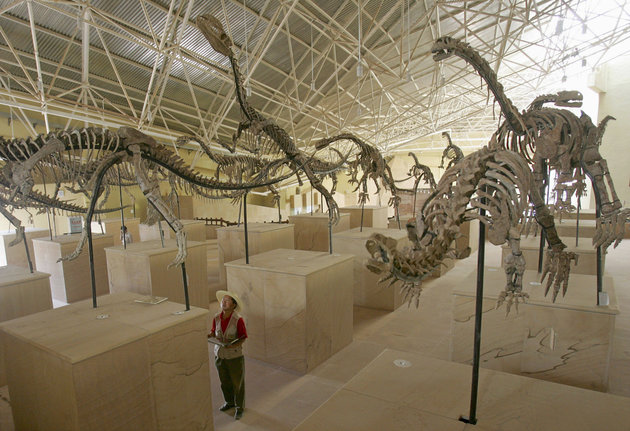 Στα ίχνη δεινοσαύρων Έλληνες και Κινέζοι επιστήμονες