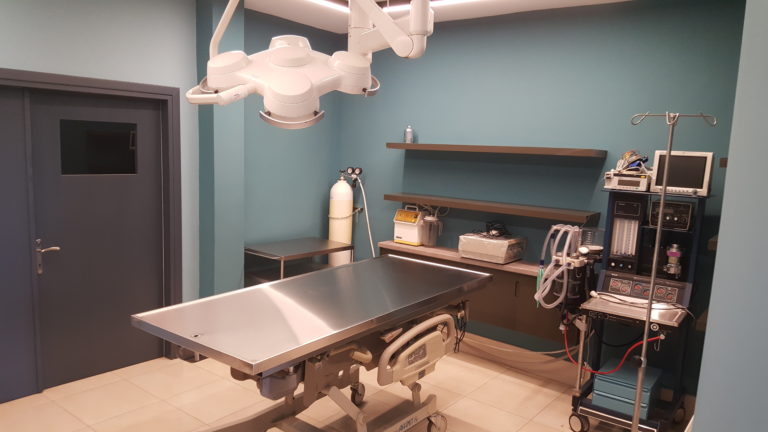 Κτηνιατρείο άγριων θηλαστικών δημιούργησε ο «Αρκτούρος»