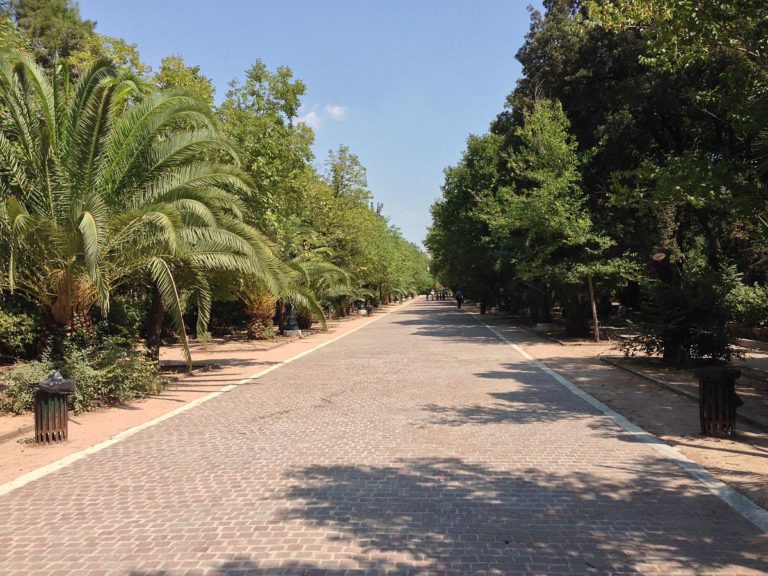 1ος Αγώνας Πάρκου «Νυχτερινές Διαδρομές» στο Πεδίον του Άρεως