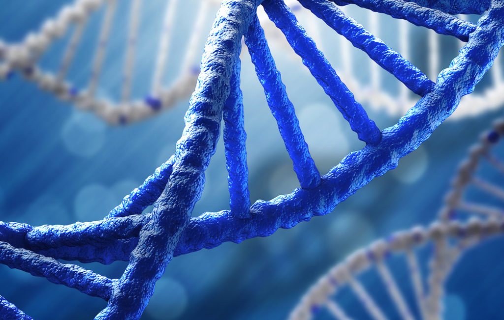 Αυτά είναι τα γονίδια της ευφυίας