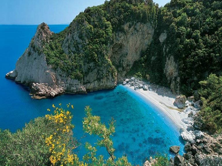 Καλοκαιρινό θαλάσσιο πρόγραμμα στο Πήλιο για την Επιστήμη των Πολιτών