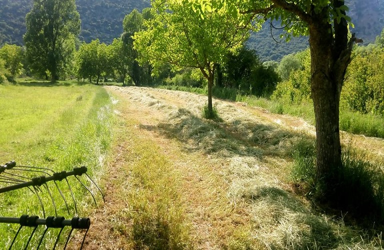 «Πρεμιέρα» για το Ηλεκτρονικό Περιβαλλοντικό Μητρώο