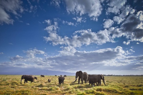 Τα οικοσυστήματα της Γης απειλούνται με μια «μείζονα μεταμόρφωση»