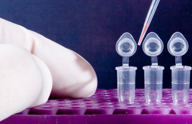 Εξέταση DNA ταυτοποιεί δολοφόνο 11χρονου 20 χρόνια μετά