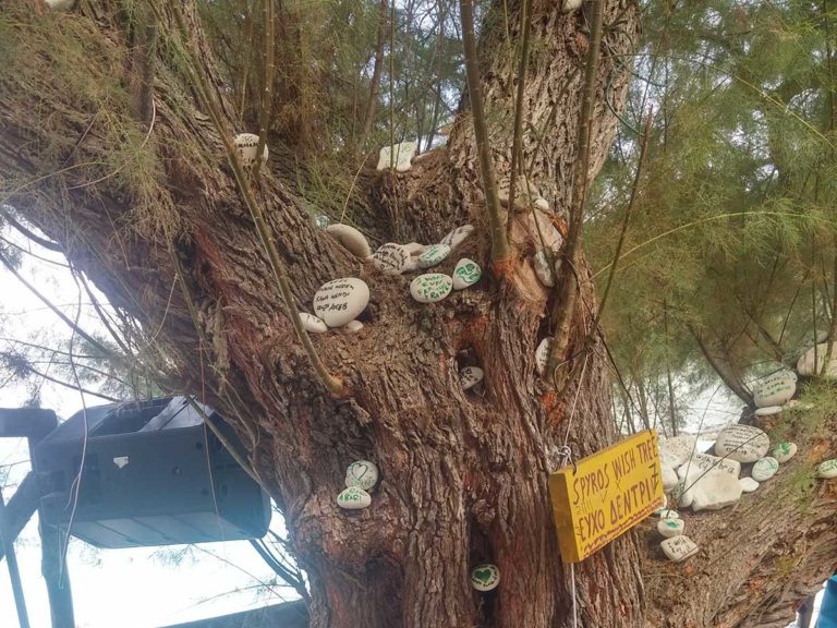 Αντίπαξοι: Μαγεύει τους τουρίστες το «δέντρο των ευχών»