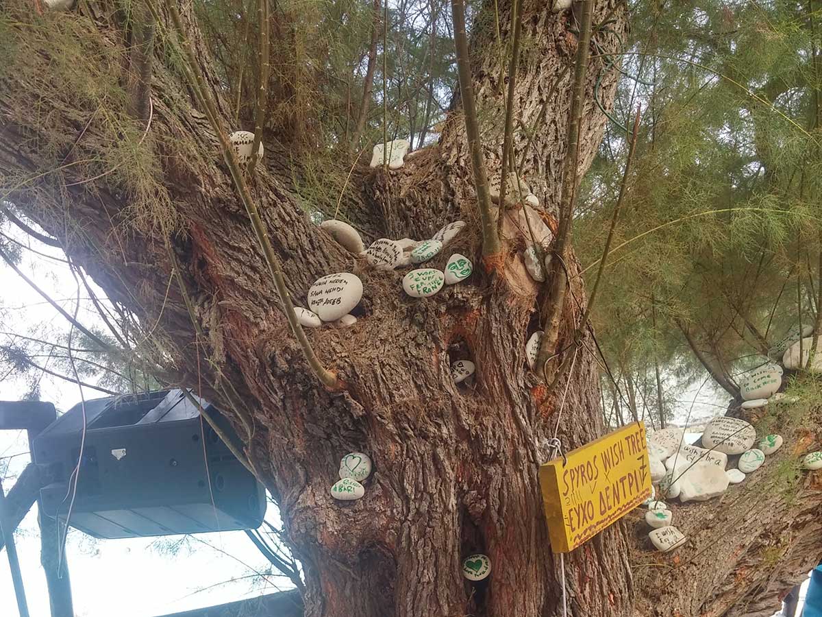 Αντίπαξοι: Μαγεύει τους τουρίστες το «δέντρο των ευχών»