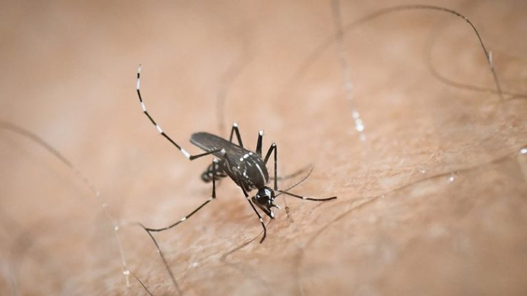 Ιός του Δυτικού Νείλου: Δείτε τους 58 δήμους που «σαρώνει» η επιδημία