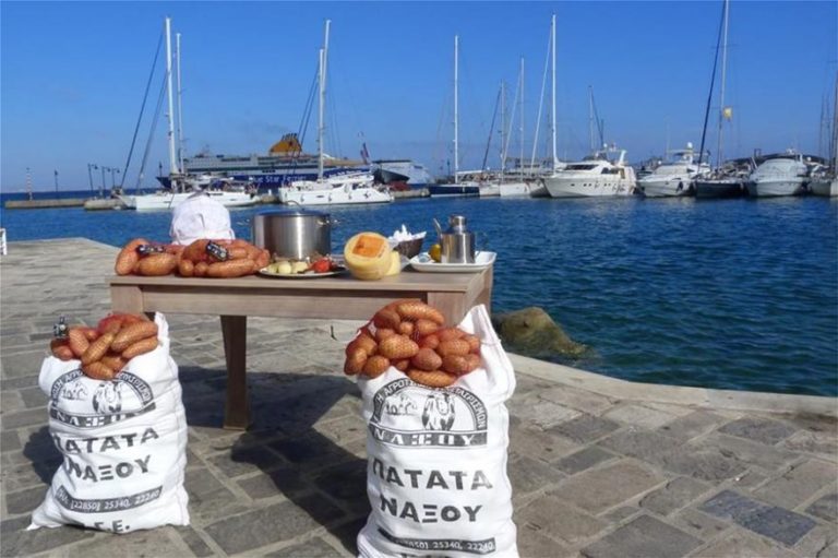 Η Νάξος καθαρίζει πατάτες και πάει για ρεκόρ Γκίνες
