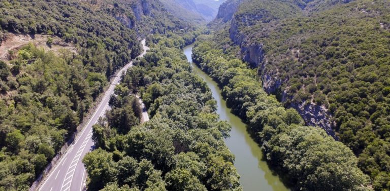 Γιατί πεθαίνουν τα πλατάνια της Ηπείρου