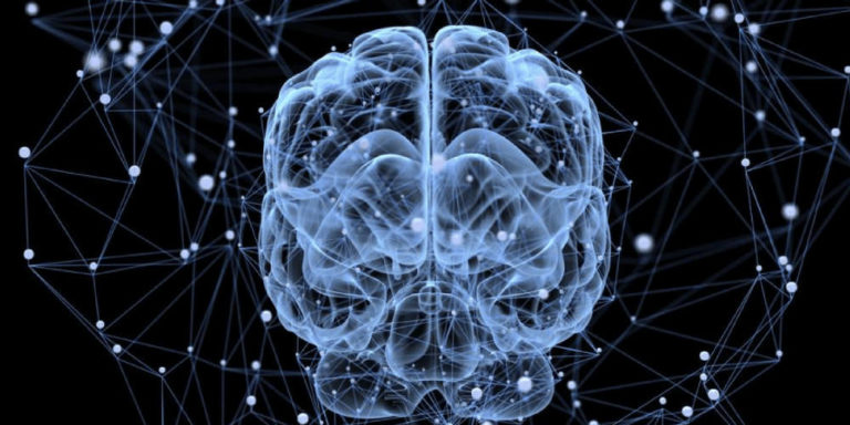 Τελικά πού διαφέρουν ο ανδρικός με τον γυναικείο εγκέφαλο;