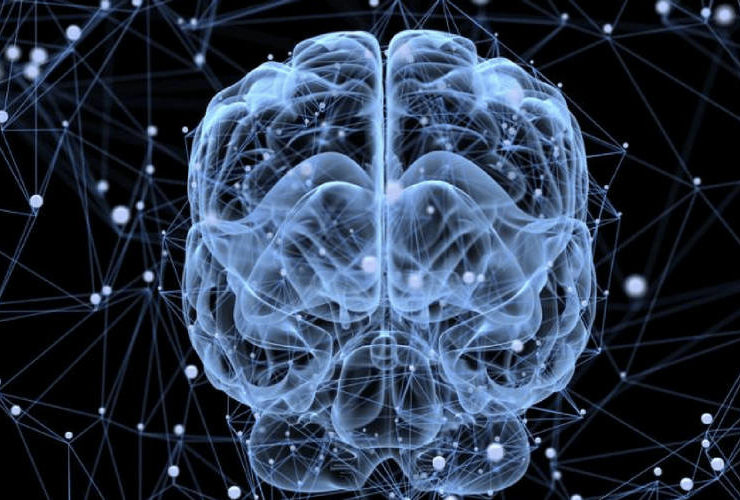 Τελικά πού διαφέρουν ο ανδρικός με τον γυναικείο εγκέφαλο;