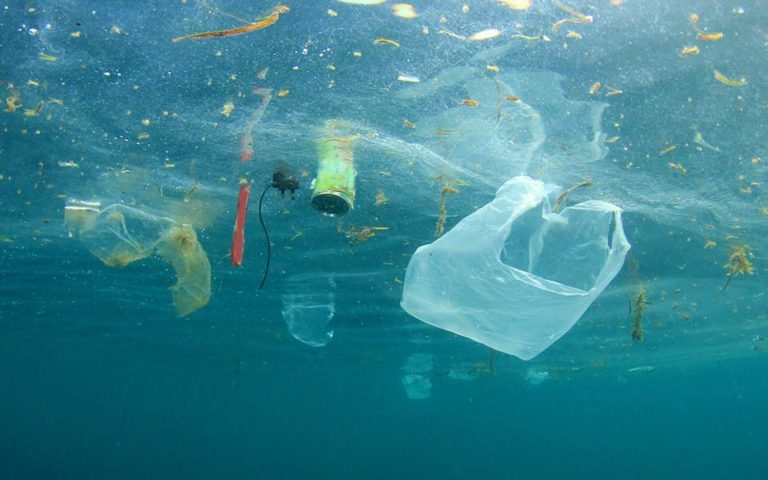 Περισσότερα από 40 κιλά πλαστικής σακούλας βρέθηκαν στο στομάχι νεκρής φάλαινας
