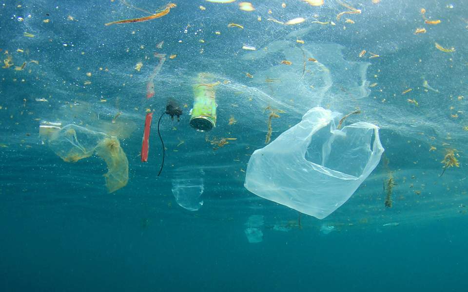Περισσότερα από 40 κιλά πλαστικής σακούλας βρέθηκαν στο στομάχι νεκρής φάλαινας