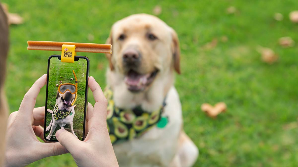 Έρχεται η πρώτη πλατφόρμα κοινωνικής δικτύωσης για σκύλους