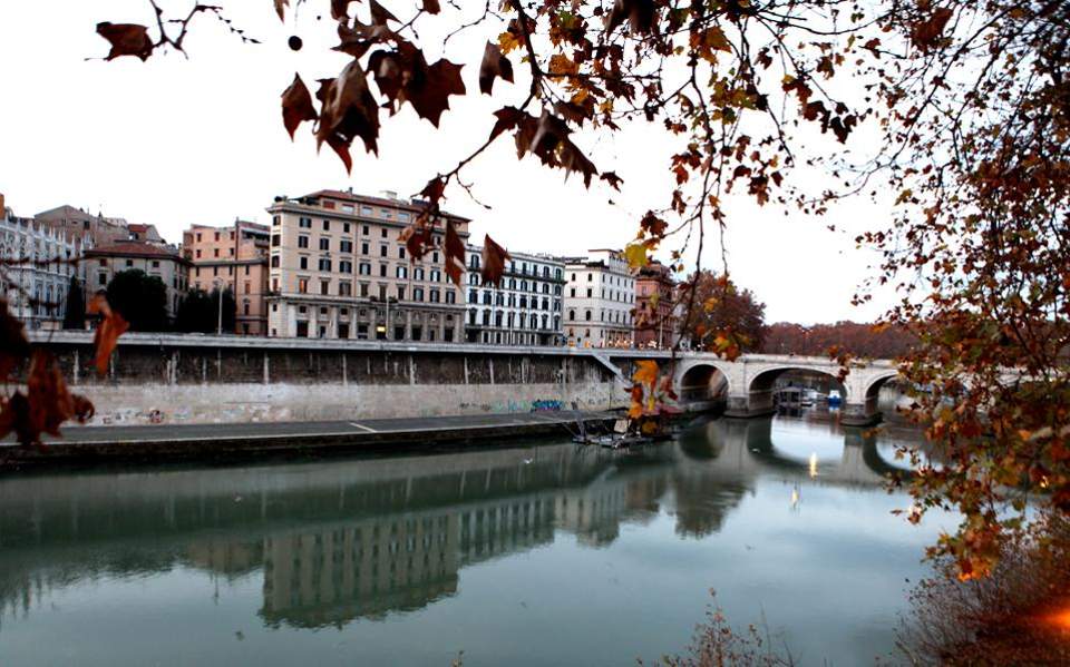 Αγριογούρουνα και λύκοι πολιορκούν την Αιώνια Πόλη