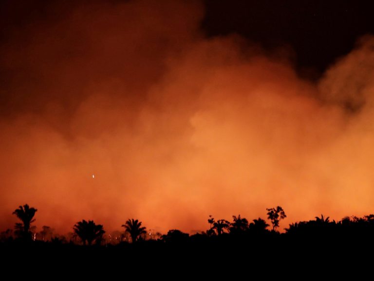 «Αμαζόνιος SOS»: Στις φλόγες o πνεύμονας του πλανήτη