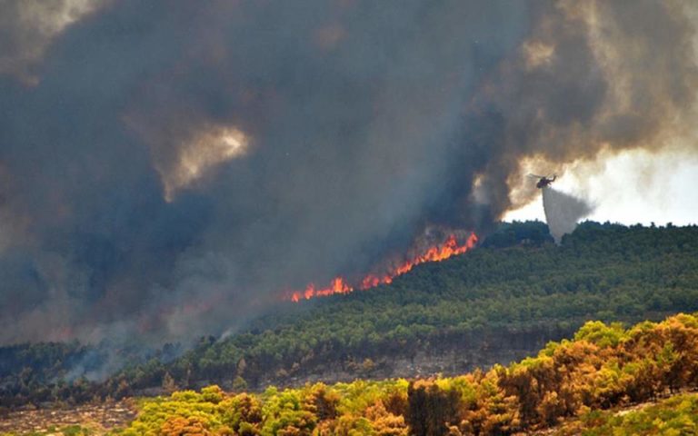 Αμαζόνιος: Τι πραγματικά συμβαίνει με τις φωτιές