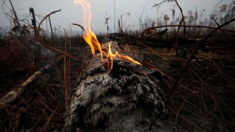 Εκατοντάδες νέες φωτιές στον Αμαζόνιο