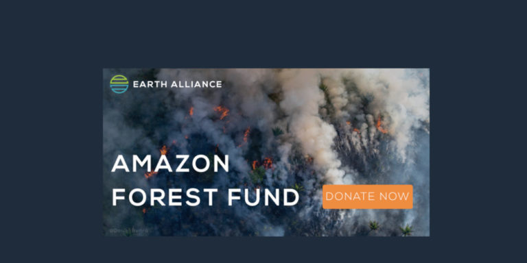 Ίδρυμα του Λεονάρντο ΝτιΚάπριο δωρίζει 5 εκατομμύρια δολάρια για τον Αμαζόνιο