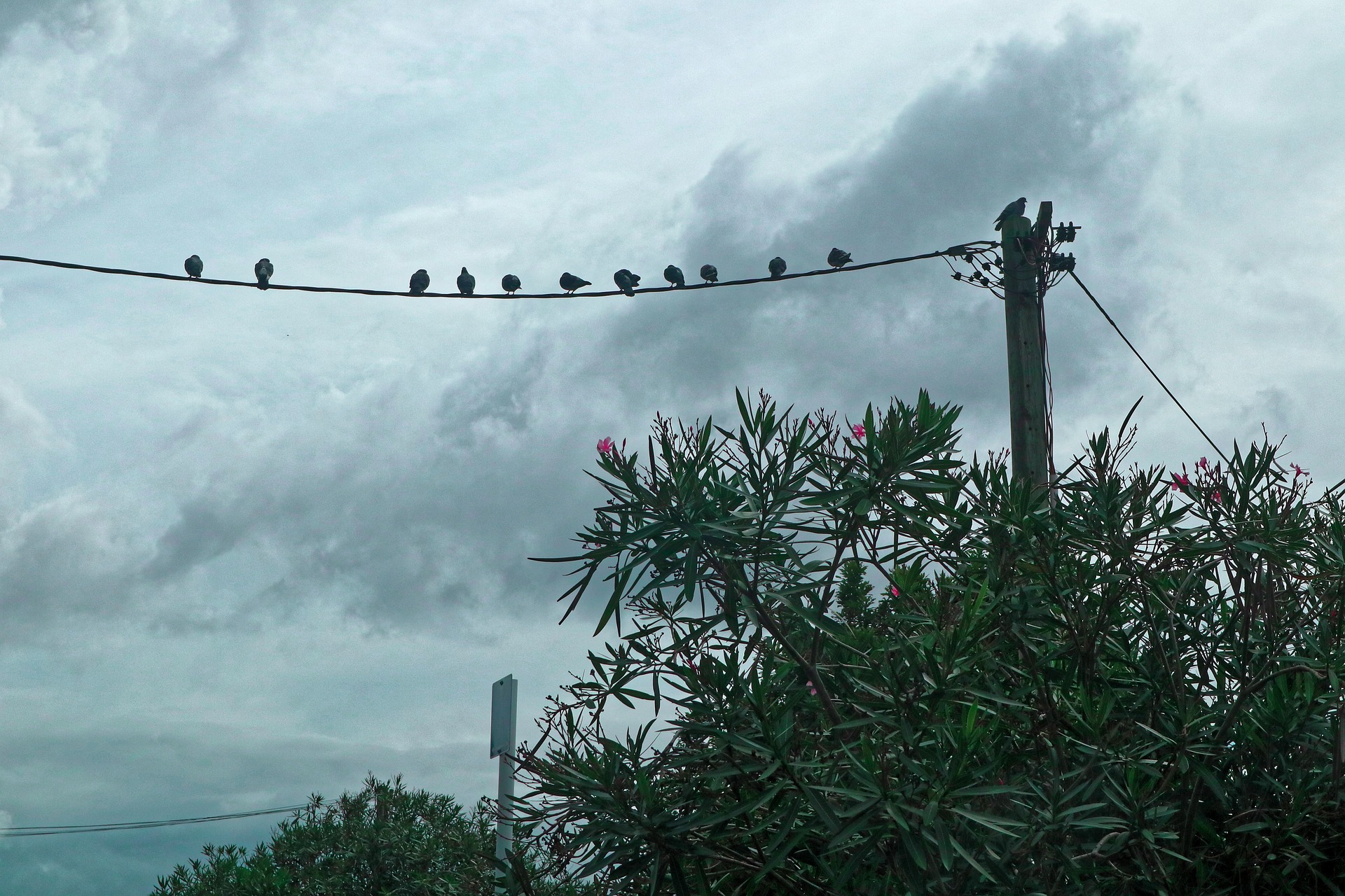 Η κατάθλιψη «χτυπάει» τους millennials