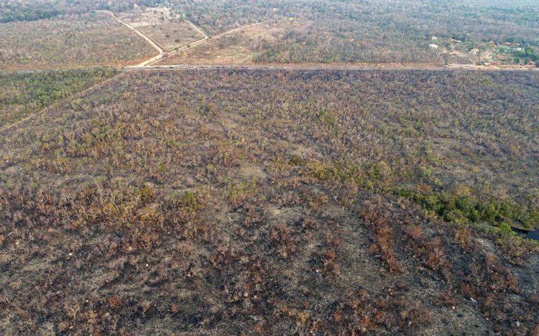 Αμαζόνιος: Η πράσινη ανάπτυξη μπορεί να αποφέρει δισ. έσοδα για τη Βραζιλία