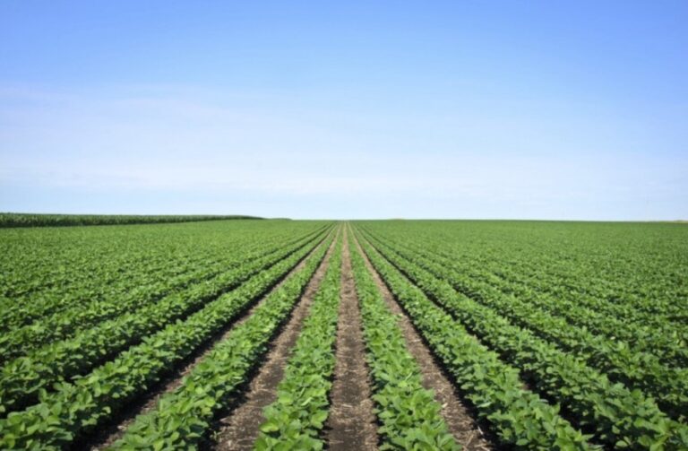 Οι διατροφικές μας επιλογές απειλούν τον πλανήτη