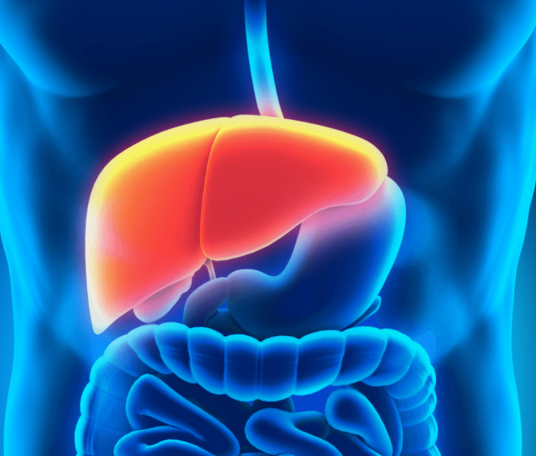 Γιατροί μεταμόσχευσαν ανθρώπινο ήπαρ που είχε διατηρηθεί επί 3 ημέρες έξω από το σώμα