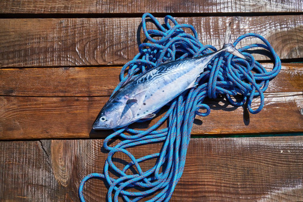 Τα Ω3 λιπαρά οξέα ρίχνουν την πίεση και αποτρέπουν τη στεφανιαία νόσο