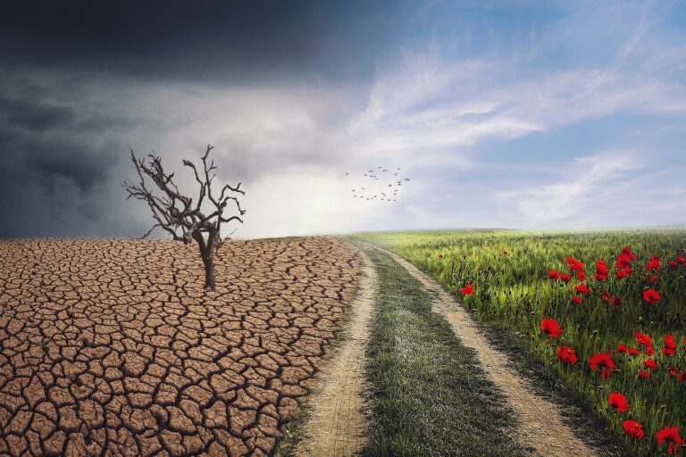 Η εξισορρόπηση της κλιματικής αλλαγής και της ανθρώπινης ευημερίας στο δομημένο περιβάλλον