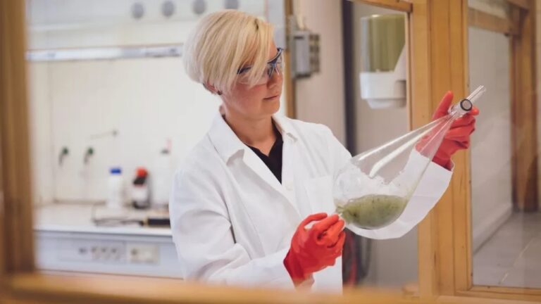 Επιστήμονες μετατρέπουν τα χωροκατακτητικά φύκια σε υποκατάστατο του πλαστικού