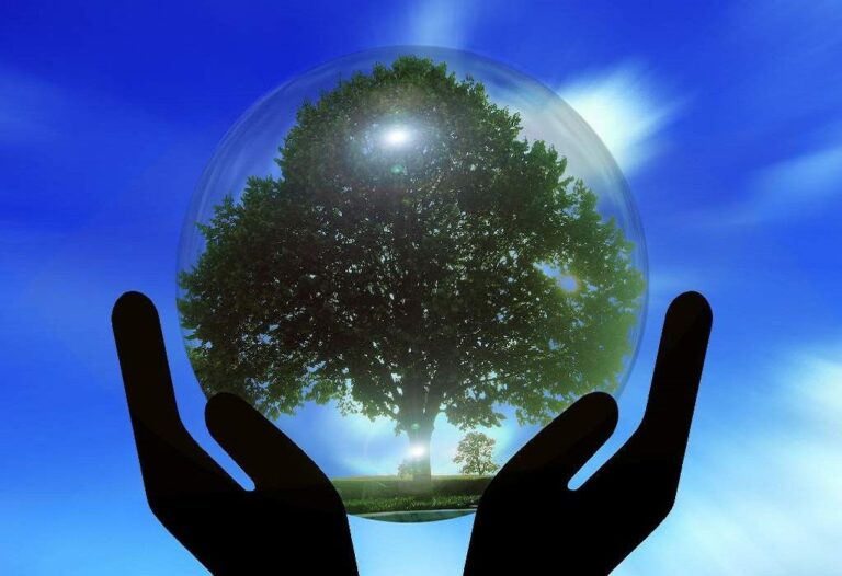 Κλιματική αλλαγή: Πώς τα βιντεοπαιχνίδια μπορούν να εκπαιδεύσουν τους παίκτες να αναλάβουν δράση