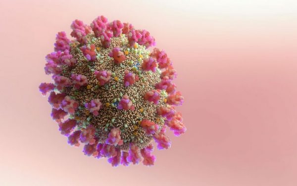 ΠΟΥ: Η εύρεση της προέλευσης του κορονοϊού είναι ηθική επιταγή