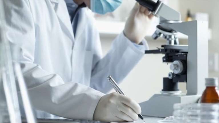 Επιστήμονες στο ΑΠΘ δημιουργούν μικρά οργανοειδή – αντίγραφα οργάνων για να δοκιμαστούν στη θεραπεία για την Αταξία Φρίντριχ