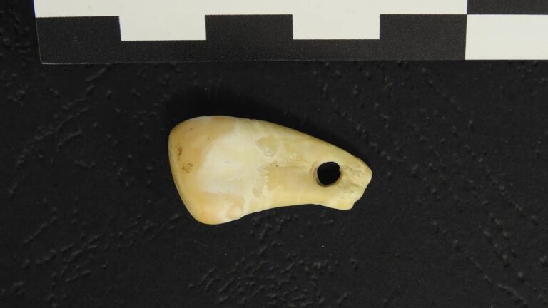 Τι αποκάλυψε ένα μενταγιόν 25.000 ετών για τον κάτοχό του