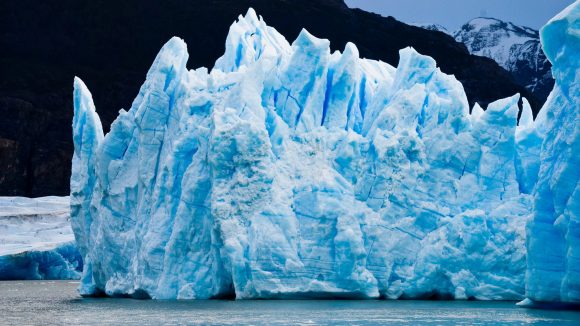 Η υποθαλάσσια Παταγονία της Χιλής, ο άλλος πράσινος πνεύμονας του πλανήτη