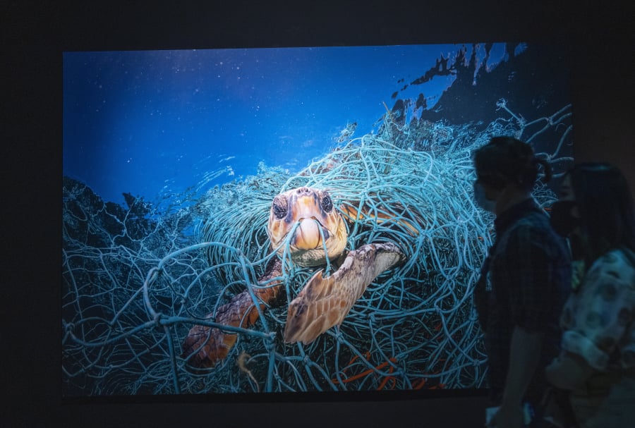 Κλείνει το National Geographic – Τέλος εποχής για το θρυλικό περιοδικό