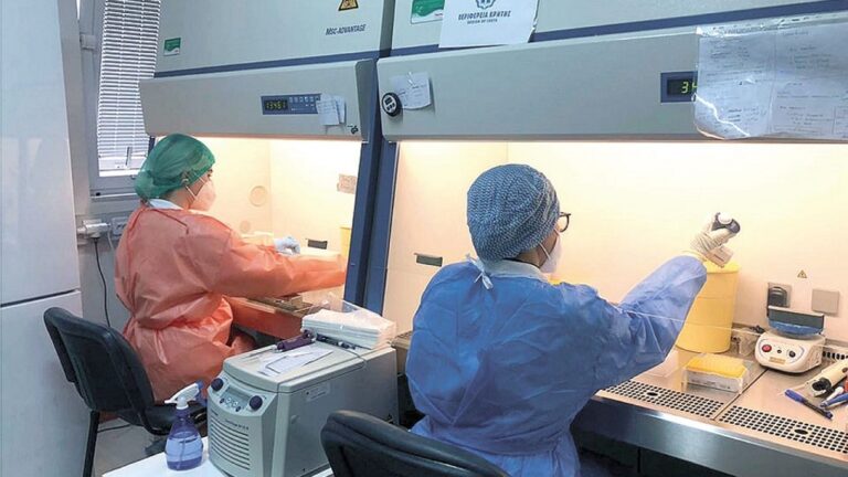 Εγείρονται ηθικά διλήμματα για τα «συνθετικά έμβρυα»